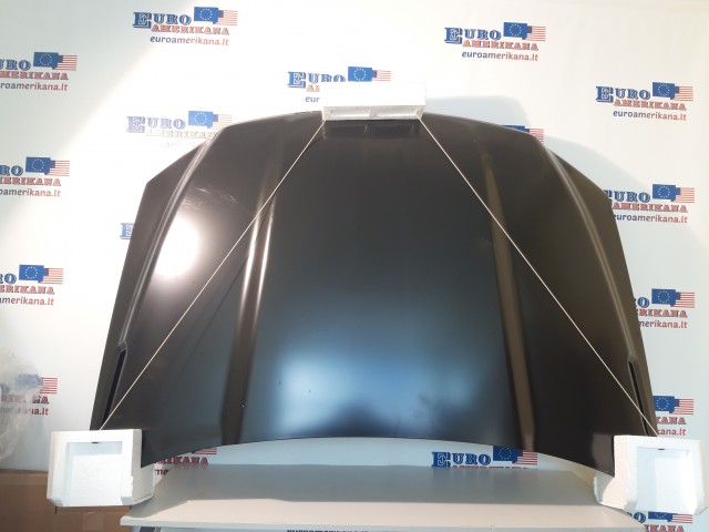 Hood Panel